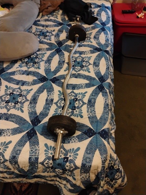 Curl Bar With 20 Lbs Of Weight