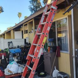 Werner 16'  professional extension latter