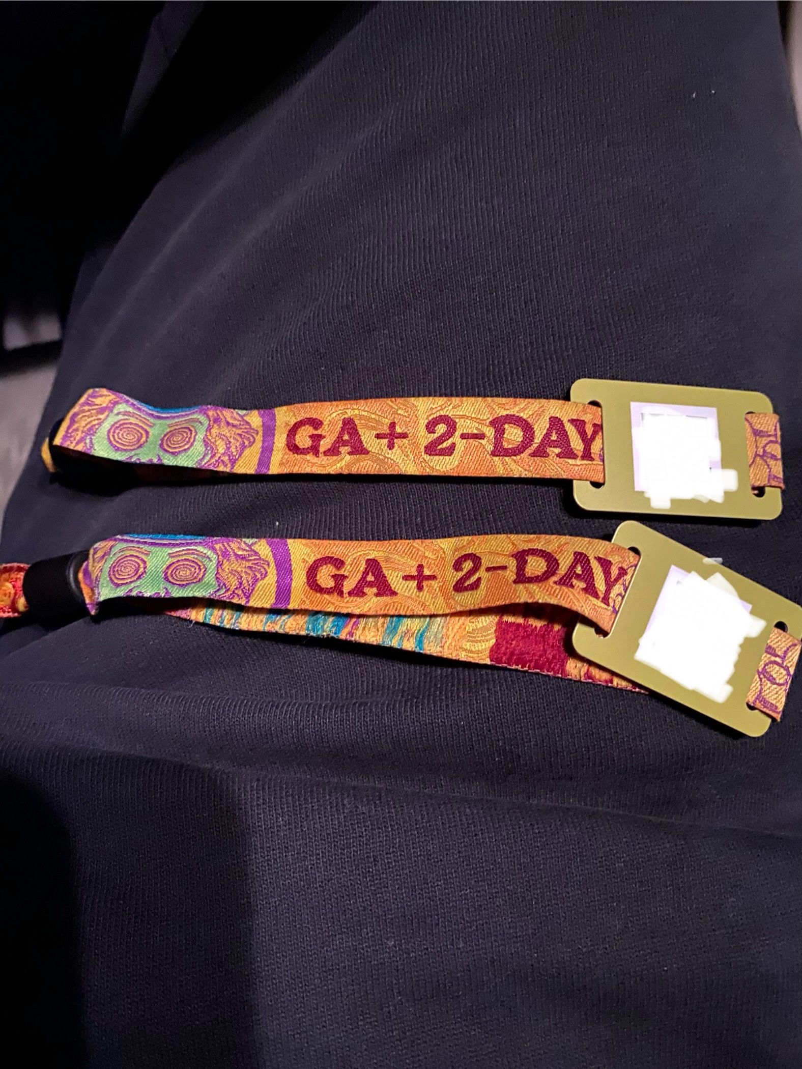 Beyond Wonderland 2024 Chicago GA+ SUNDAY