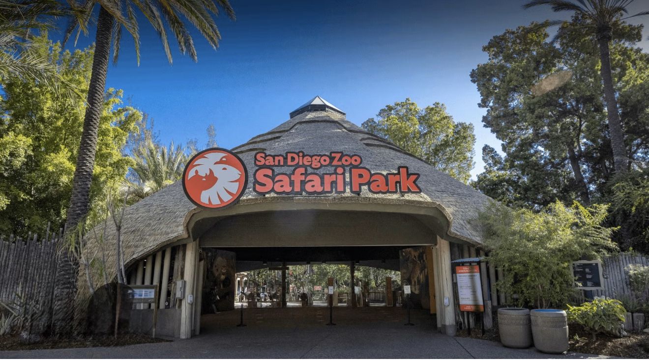 Safari Park
