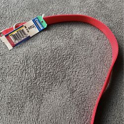 Dog or cat collar (red) 16β