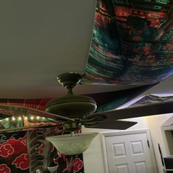 Ceiling Fan With Lamp/Light $15