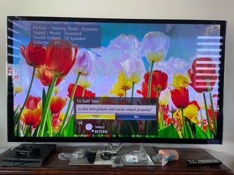 Panasonic Viera TX-P65VT65B 65” VT65 THX Plasma TV - Mint + Box + Transformer