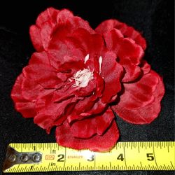 Deep Red / Wine /Ruby Peonies 