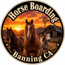 Horse Boarding 🐴