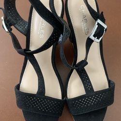 Charles by Charles David Wedges