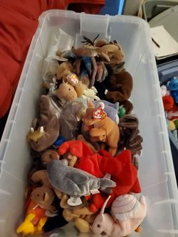 Ty Beanie  Babies