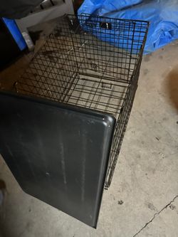 Dog Cage 