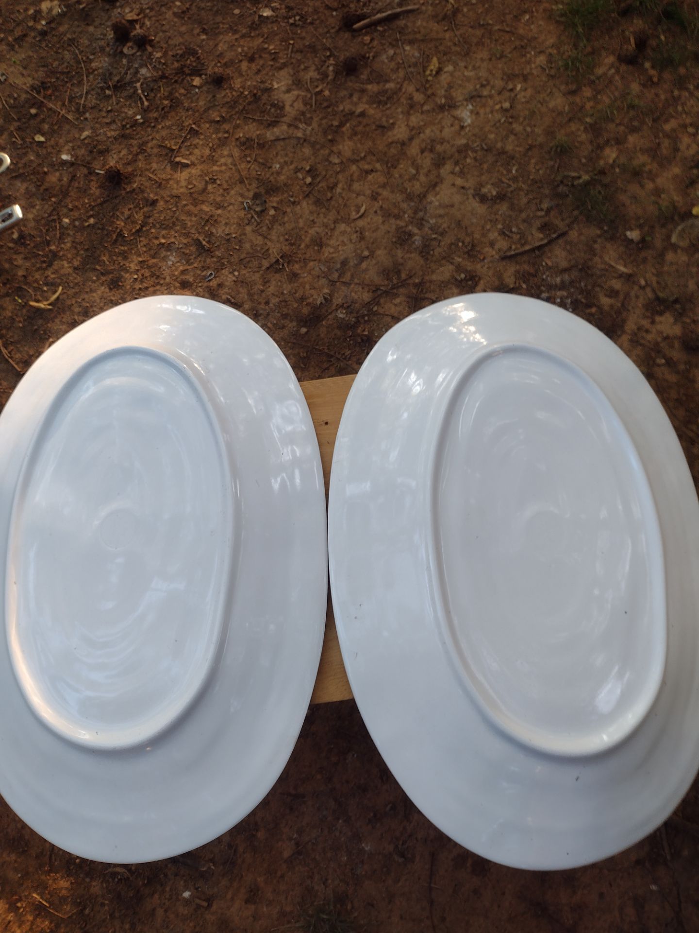 2 plates longitud 21 x 9