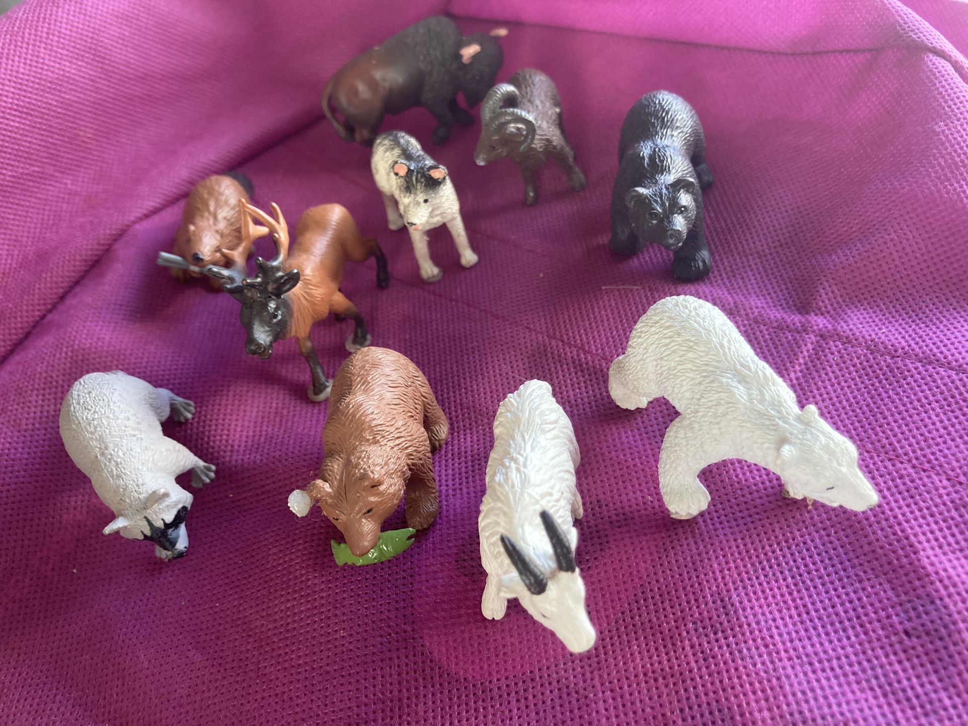 Art Project Supplies