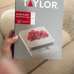 Taylor Digital Scale
