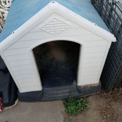 Cute Dog House
