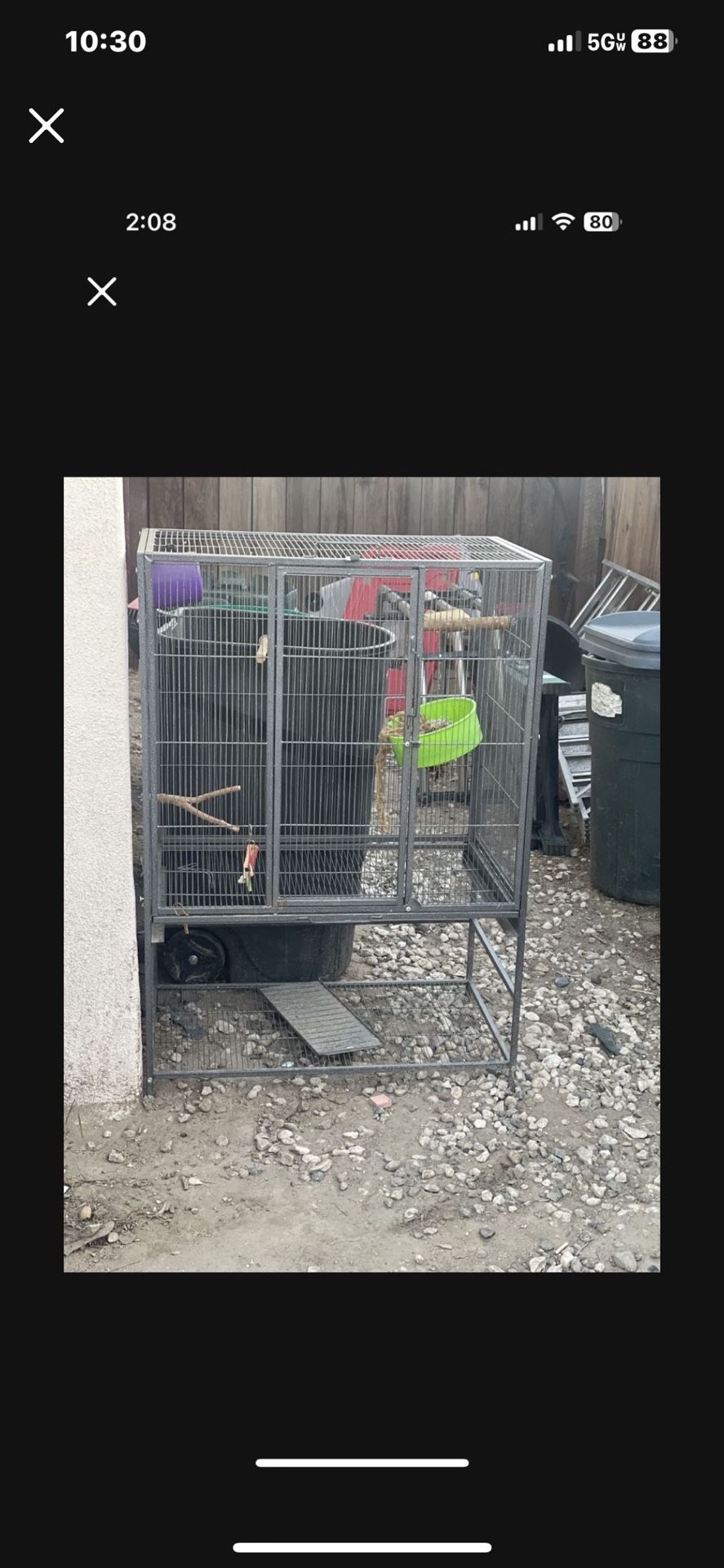 Cage/Jaula