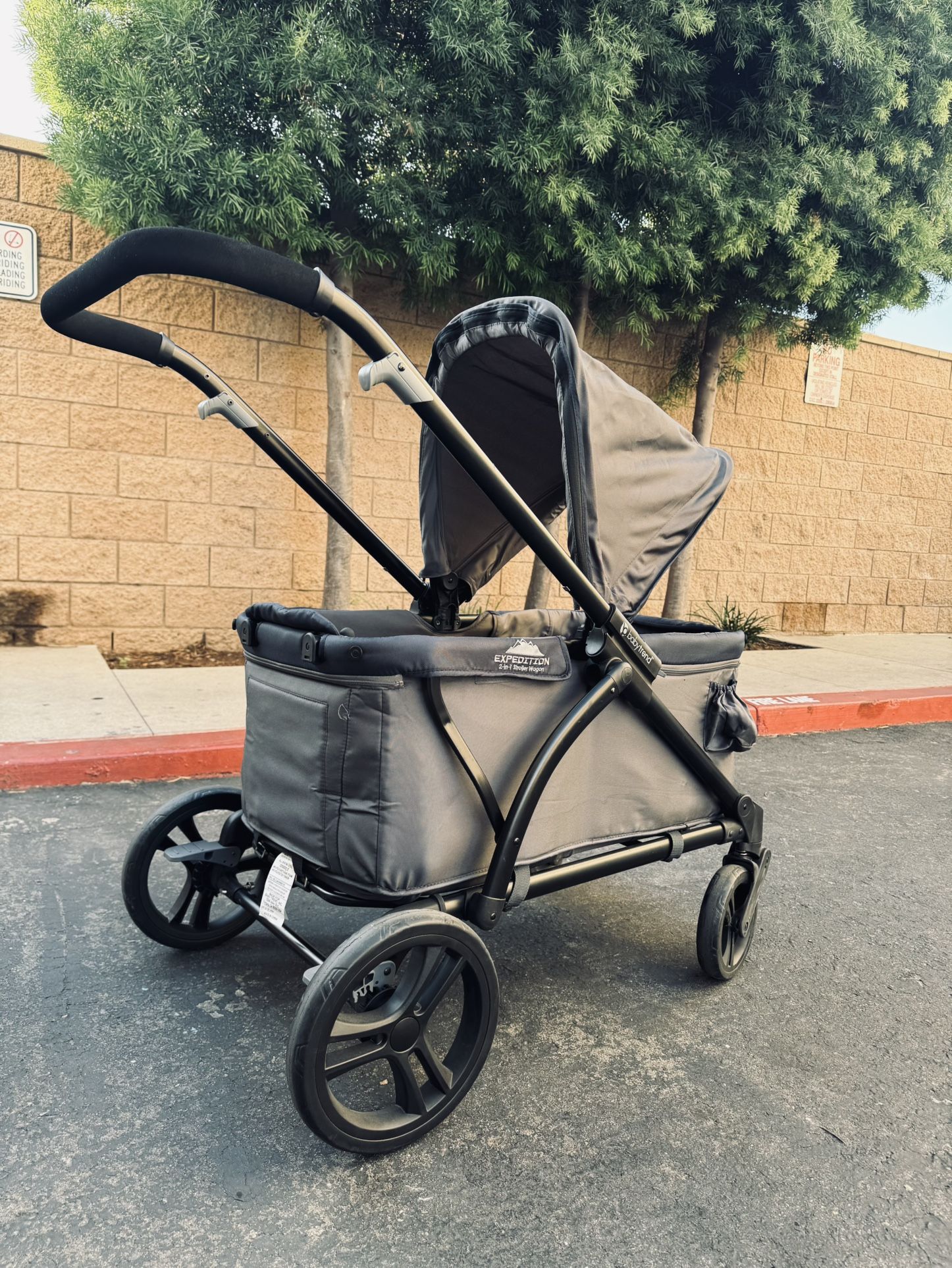 Baby Trend Expedition 2-in-1 Stroller Wagon 