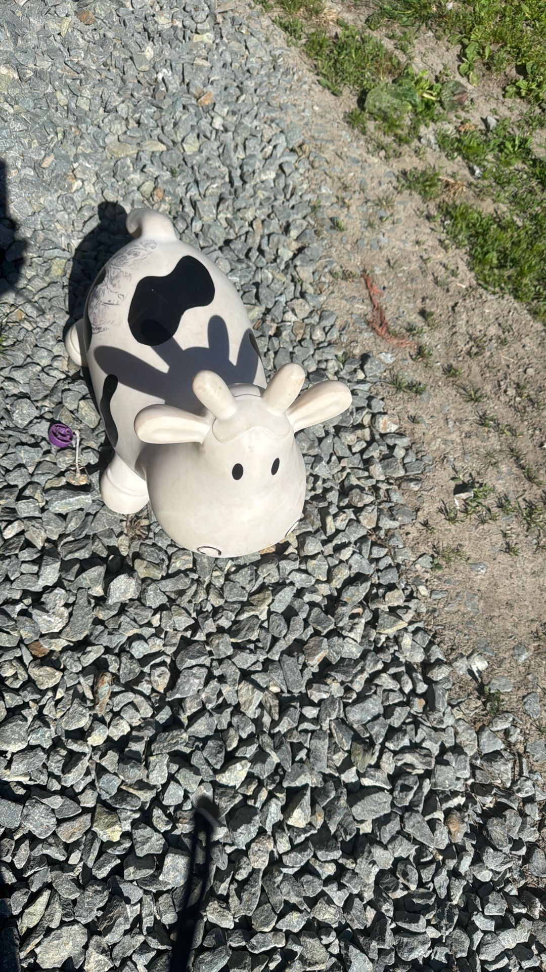 Kids Jumping Cow 🐄