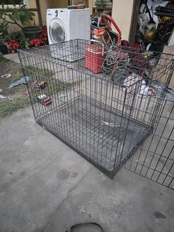 Dog Still Guard  30"W×42"L× 32" H