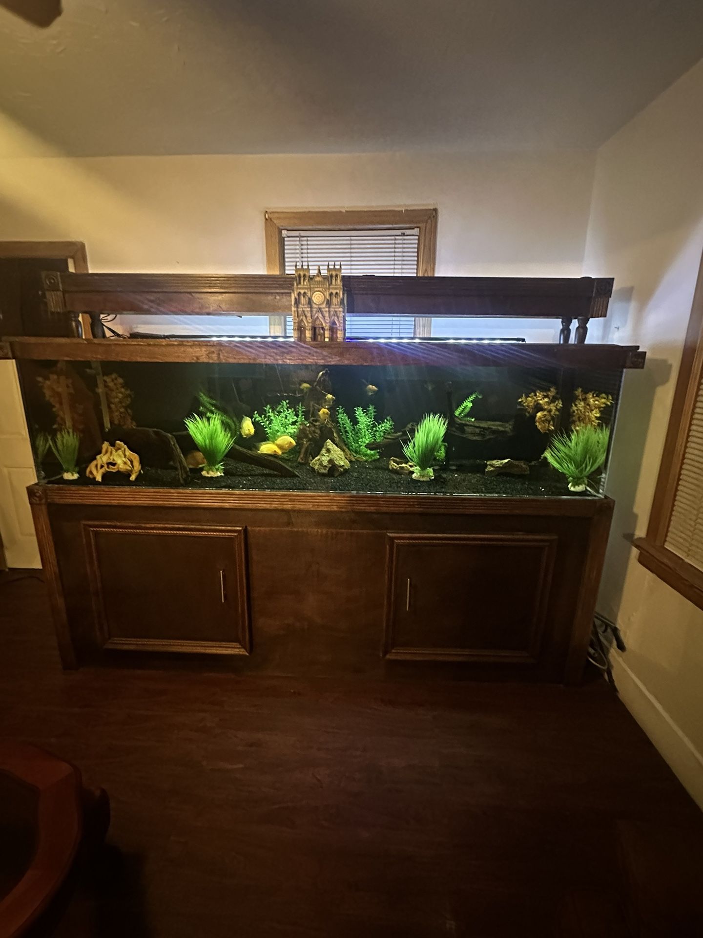400 Gallon Fish Tank 