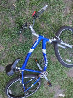Schwinn Bike