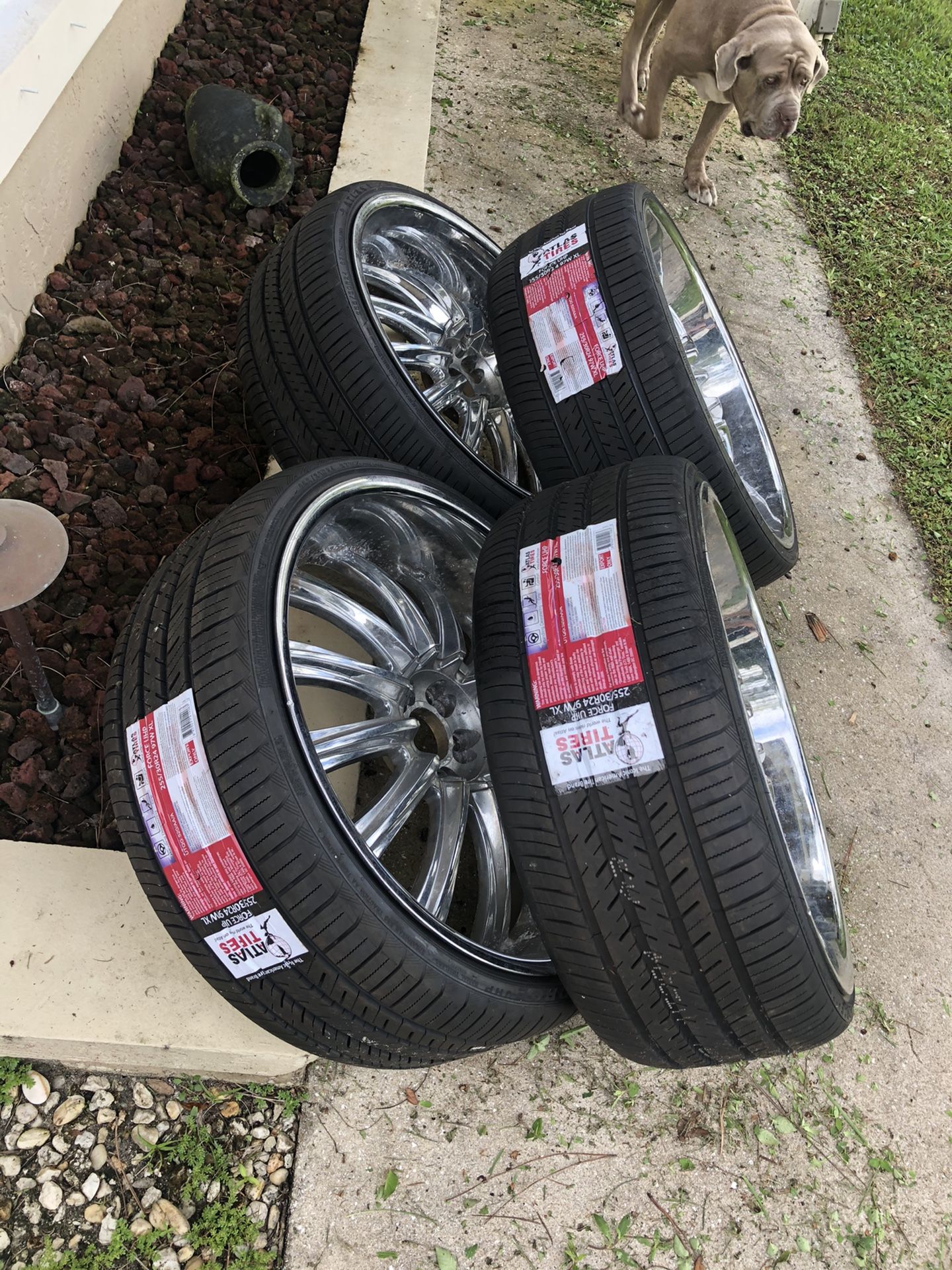 24” rims