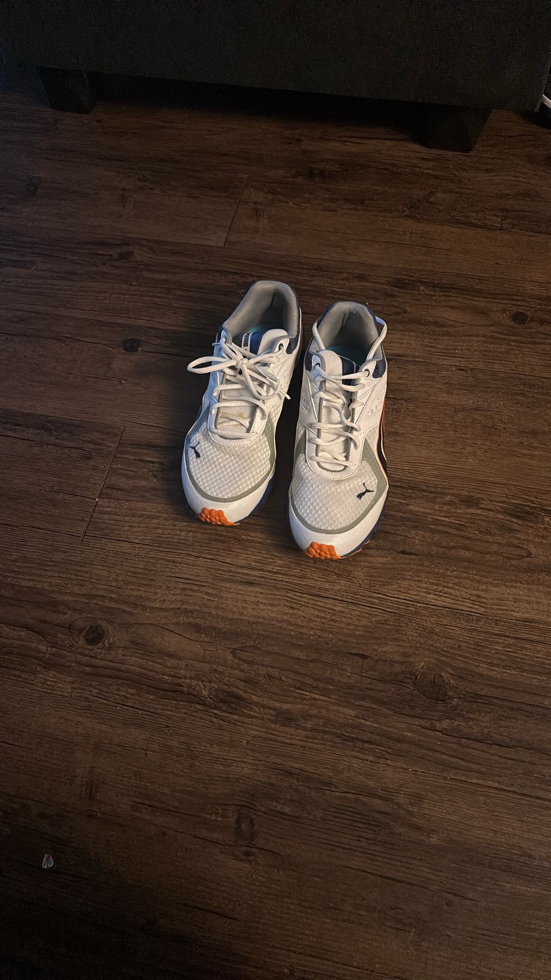 Puma men’s shoes has some stains $20