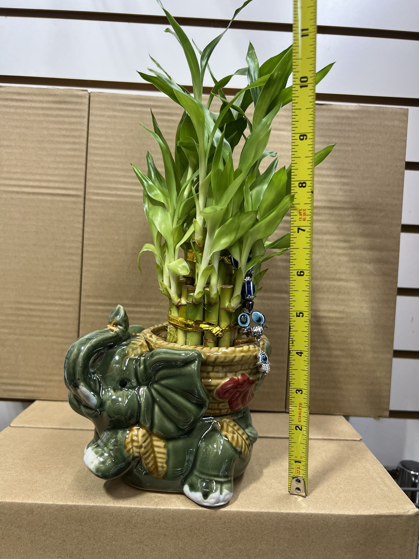 Bamboo Plant With Elephant Vase 
