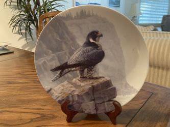 Owl, Falcon, Bald Eagle Plates With Certificates