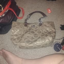 Hobo Purse