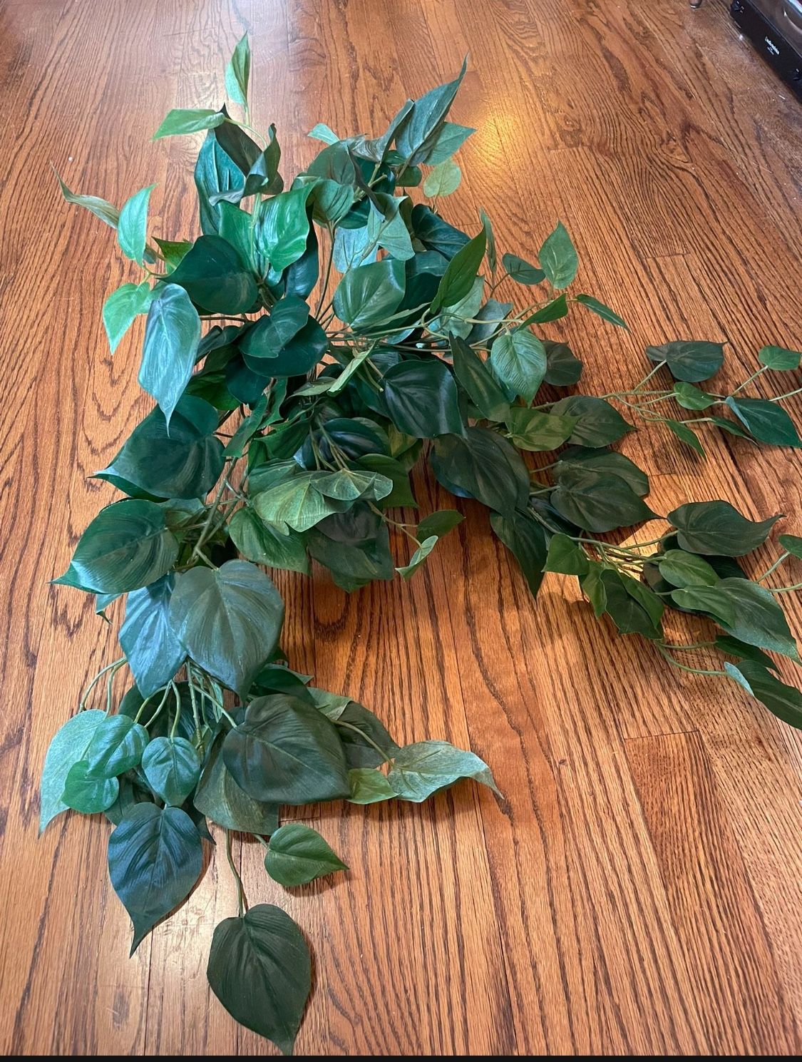 Cascading Fake Pothos (5)- Greenery