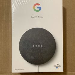 Google Nest Mini