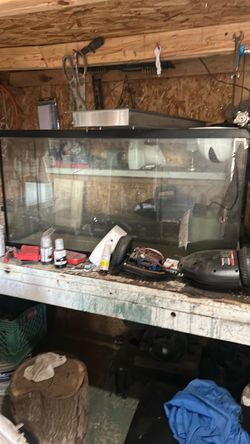 Large Glass Aquarium Fish Tank