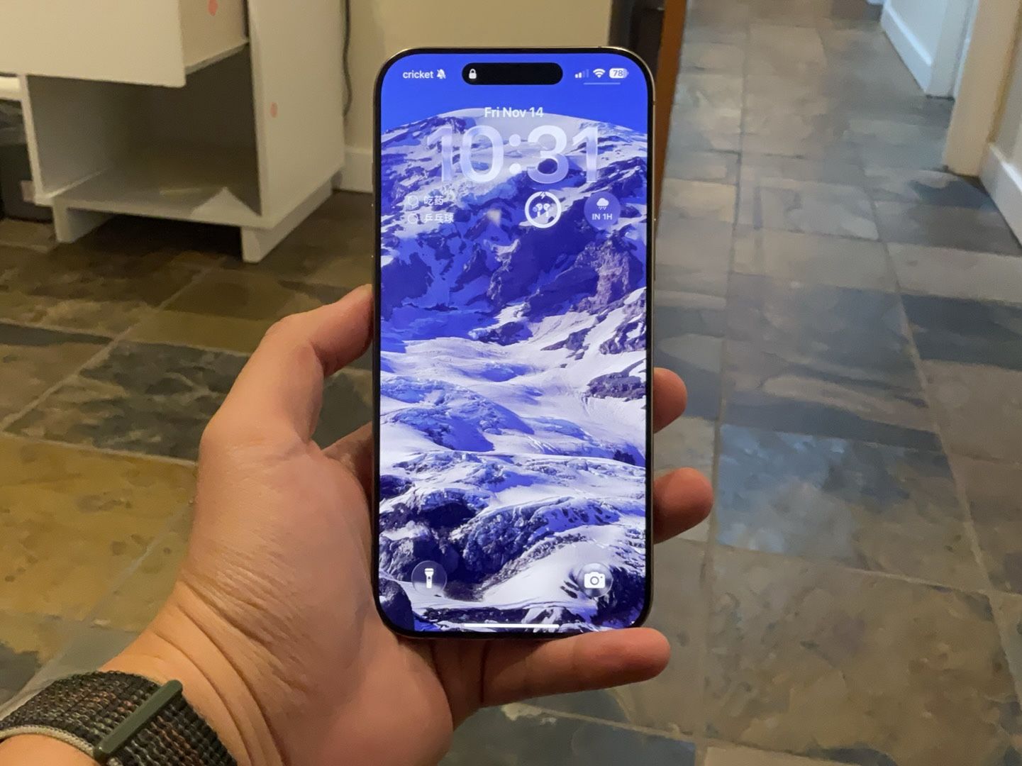 iPhone  16 pro max 256G Unlocked 91% Battery