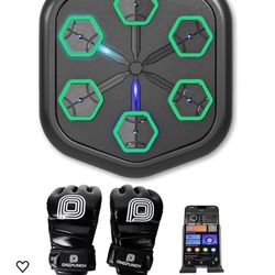 One Punch Boxing training working 