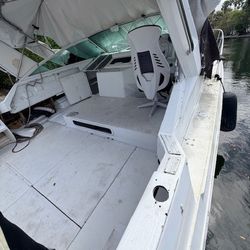 Sea RAY EXPRESS 