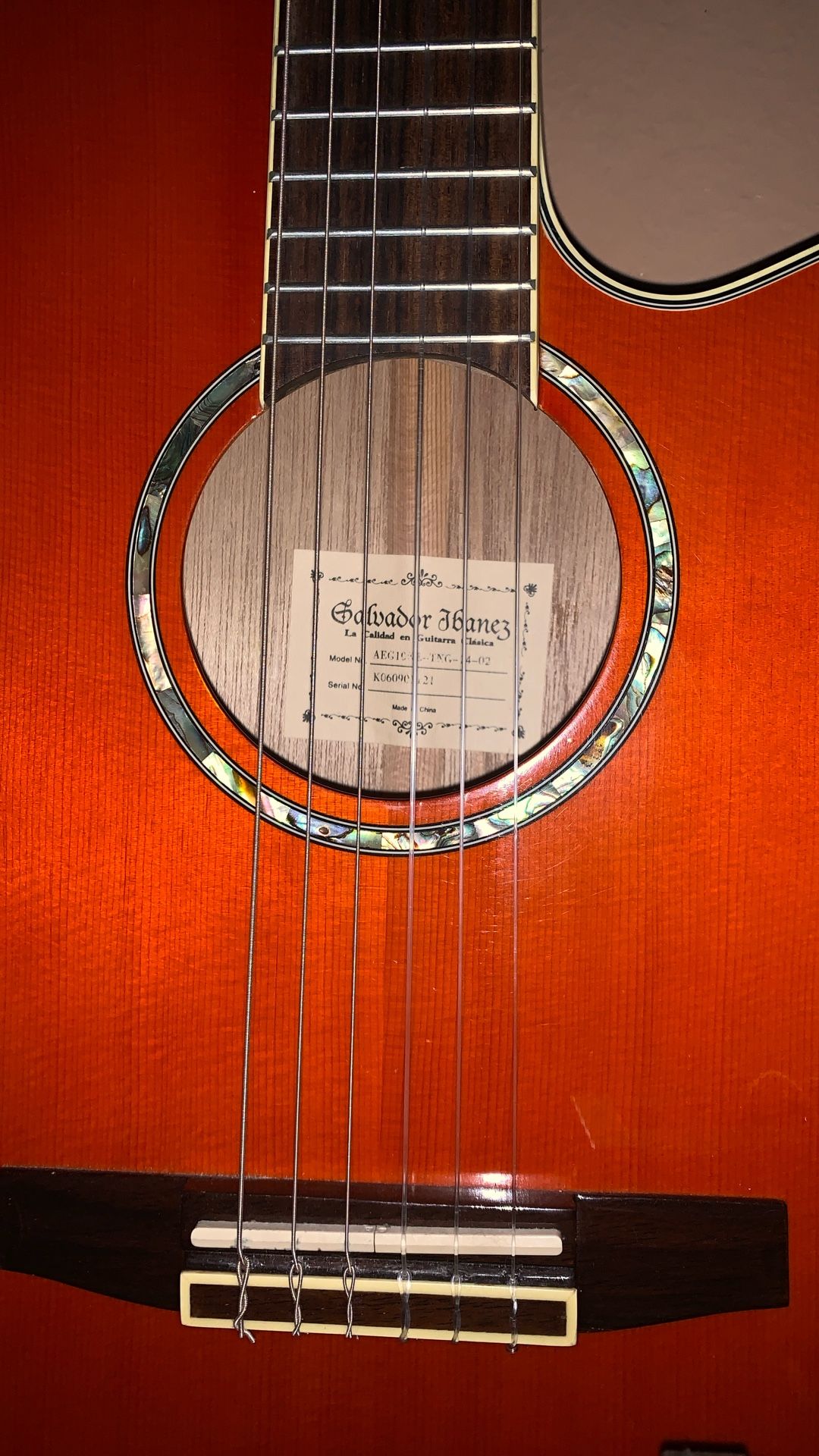 Salvador Ibanez