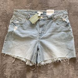 H&M women shorts