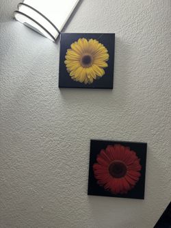 Wall Decor