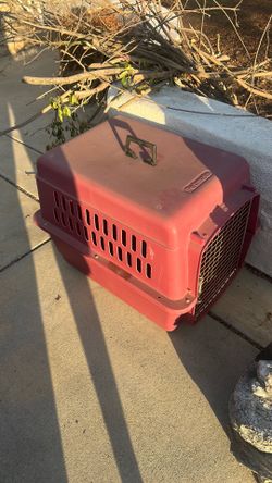 Petmate Pet Porter Dog/Cat Travel Crate – Large Pet Carrier