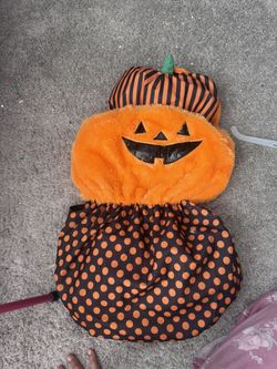 Dog Pumpkin Costume 