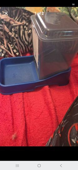 Cat food tray