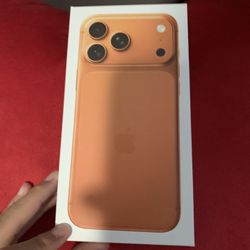 iPhone 17 Pro Max 1TB