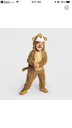 Baby Lion Costume