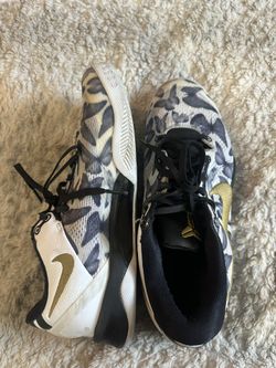Kobe 8 Protro