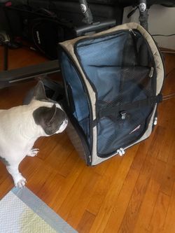Pet wheely carrier/backpack