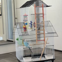 Re Homing Cage With Two Budgies And All Accessories 