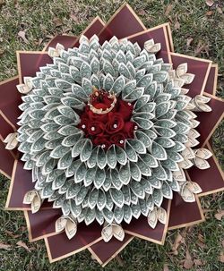 Money Bouquet Ramos Arreglos 