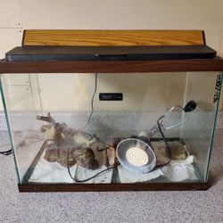 29 Gallon Aquarium