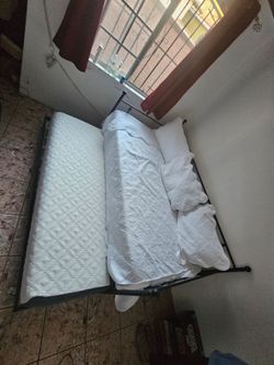 Bed