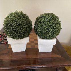 Plant Decor