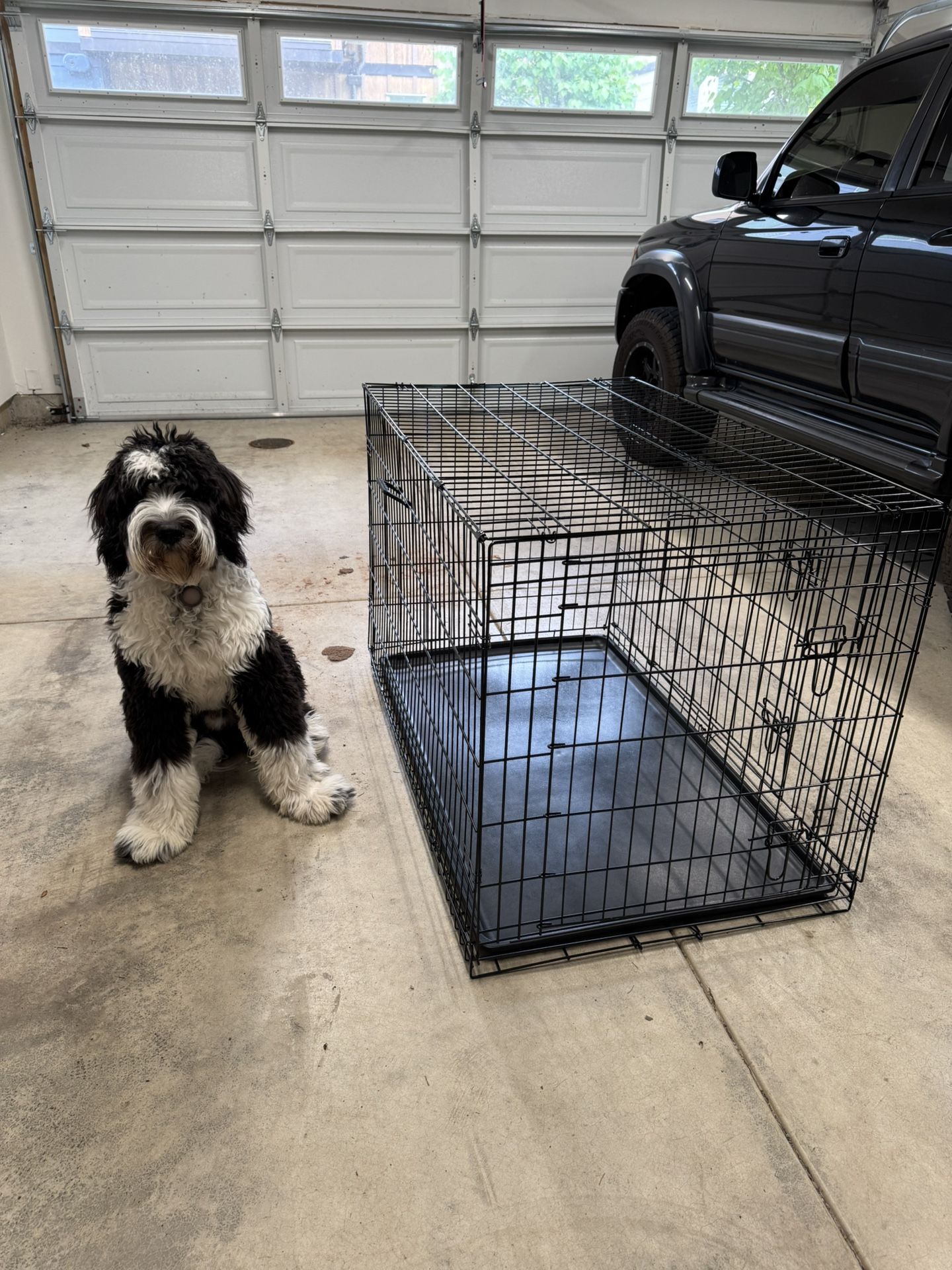 XL Dog Crate