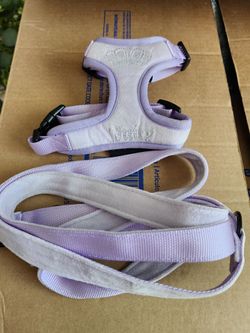 Dog leash and harness xs